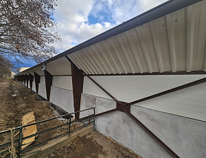 Rekonstrukce haly výkrmu prasat